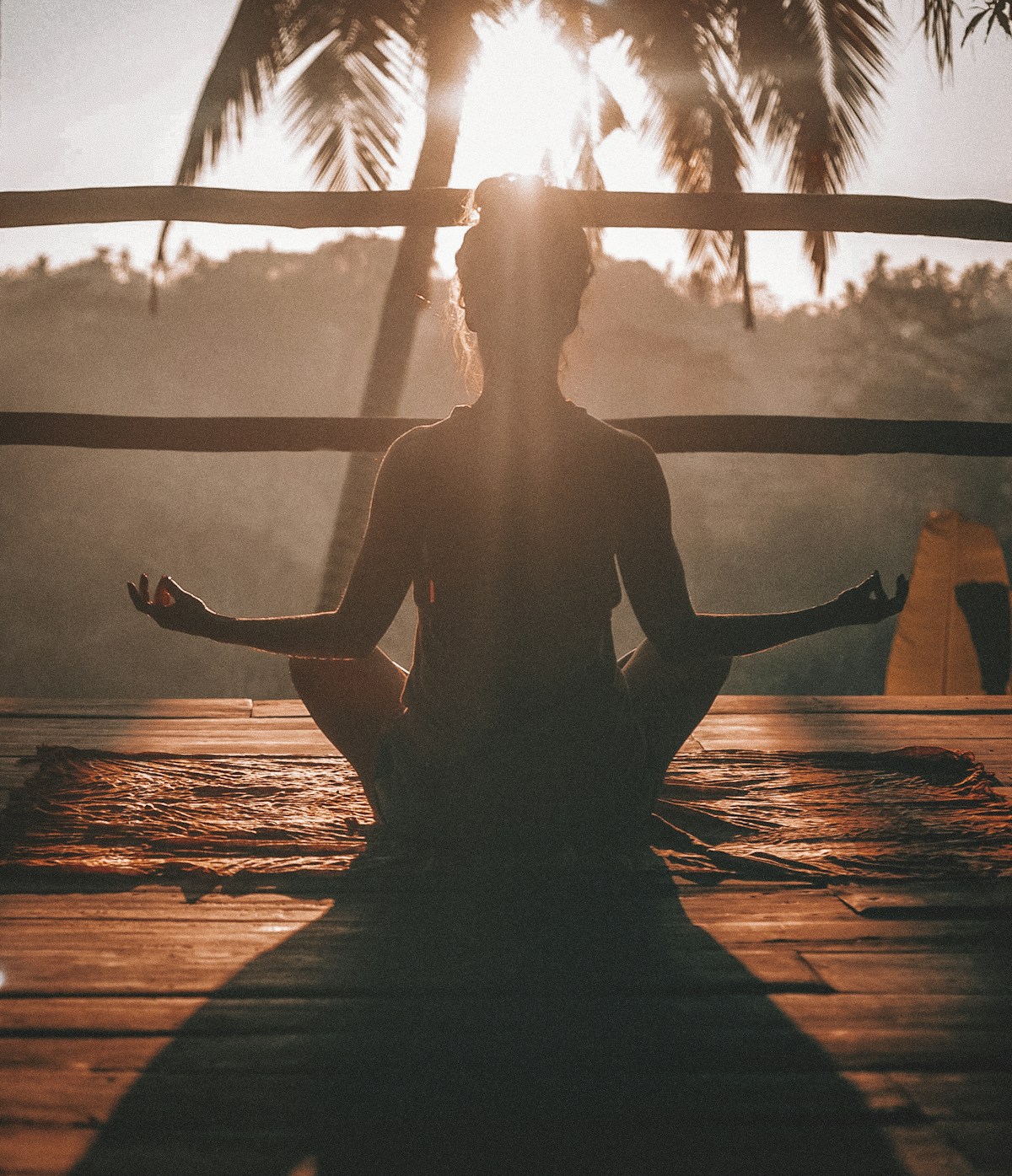 International Yoga Day 2026: 12th Edition, Theme, Events